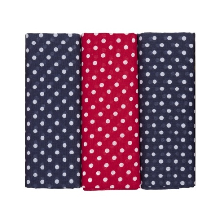 Navy Blue and Red Spotted Handkerchiefs